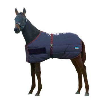 WeatherBeeta 420D Newborn Foal Standard Neck Turnout - Navy / Burgundy (220g)